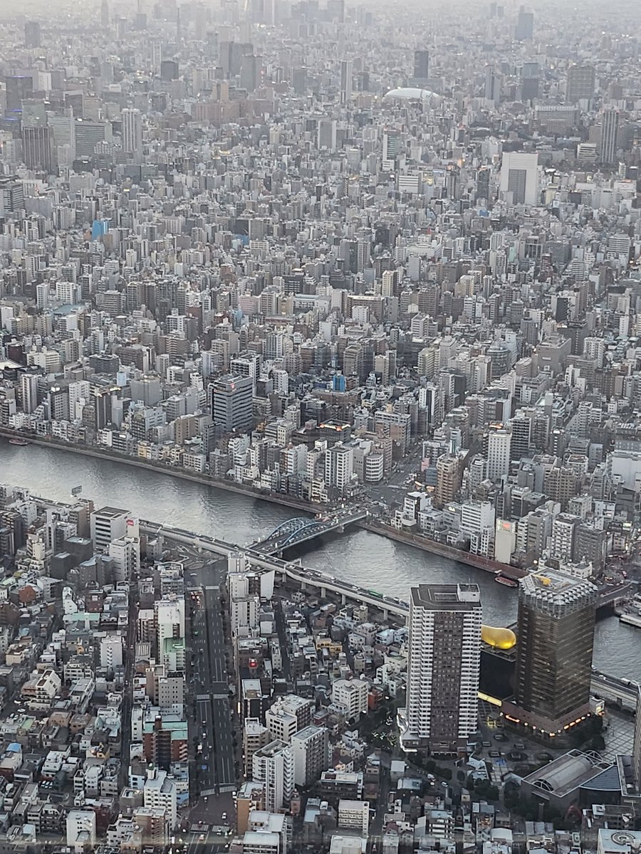 Find this fascinating.  Tokyo from the air.  

A few blue buildings and a gold artwork,  amongst the sea of grey.