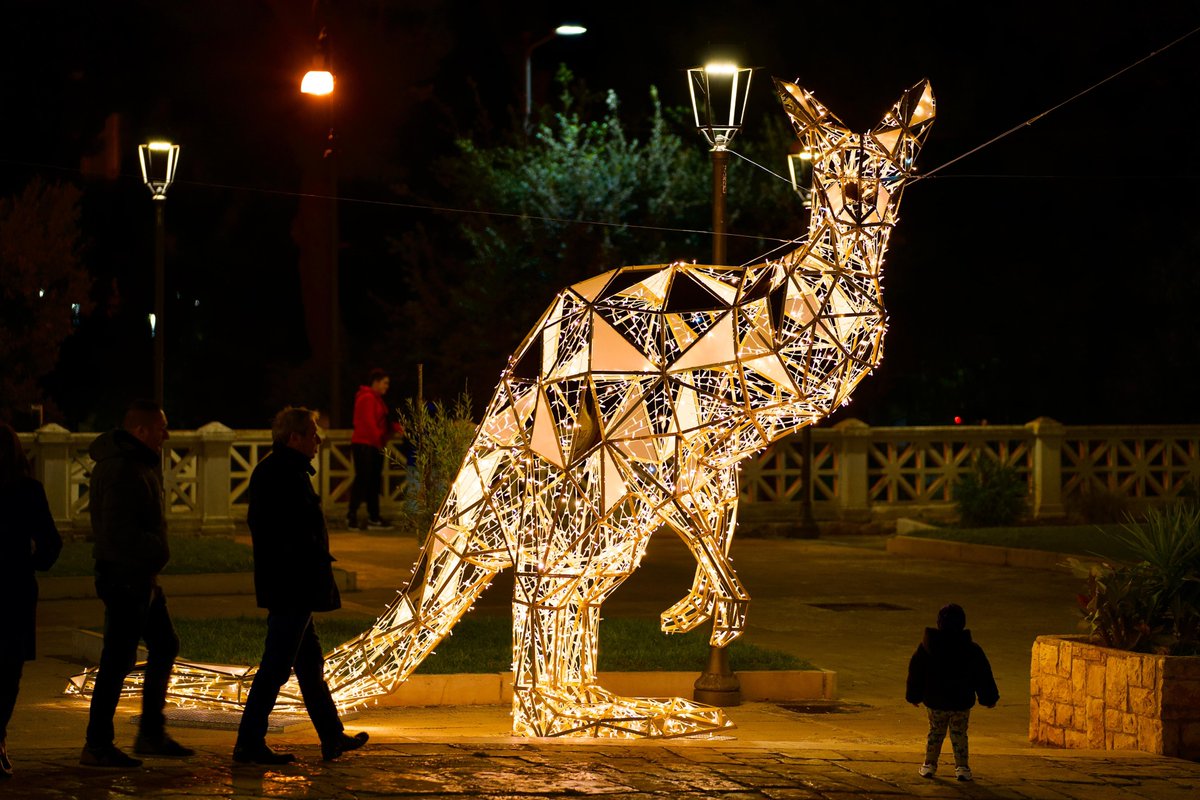 Giraffes, elephants, monkeys and butterflies shine in the streets of Fasano: the light installations and projections of “The World of Animals” celebrate the 50th anniversary of the Zoosafari 🐘 For info 👉 rpu.gl/DR7Qq 📸 Schiavone Francesco #WeAreinPuglia