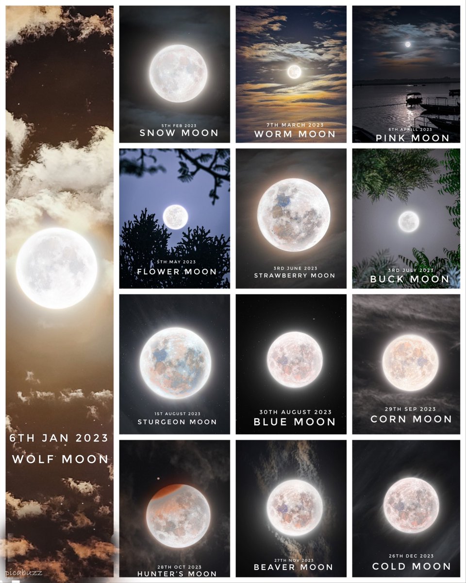 picabuzz's tweet image. All the Full Moon of 2023 
Jan — Wolf Moon
Feb  — Snow Moon
March—Worm Moon
April— Pink Moon
May—Flower Moon
June— Strawberry Moon
July—Buck Moon
Aug— Sturgeon Moon
Aug— Blue Moon
Sept — Corn Moon
Oct — Hunter’s Moon
Nov — Beaver Moon
Dec — Cold Moon
#picabuzz #moon #NewYear2024