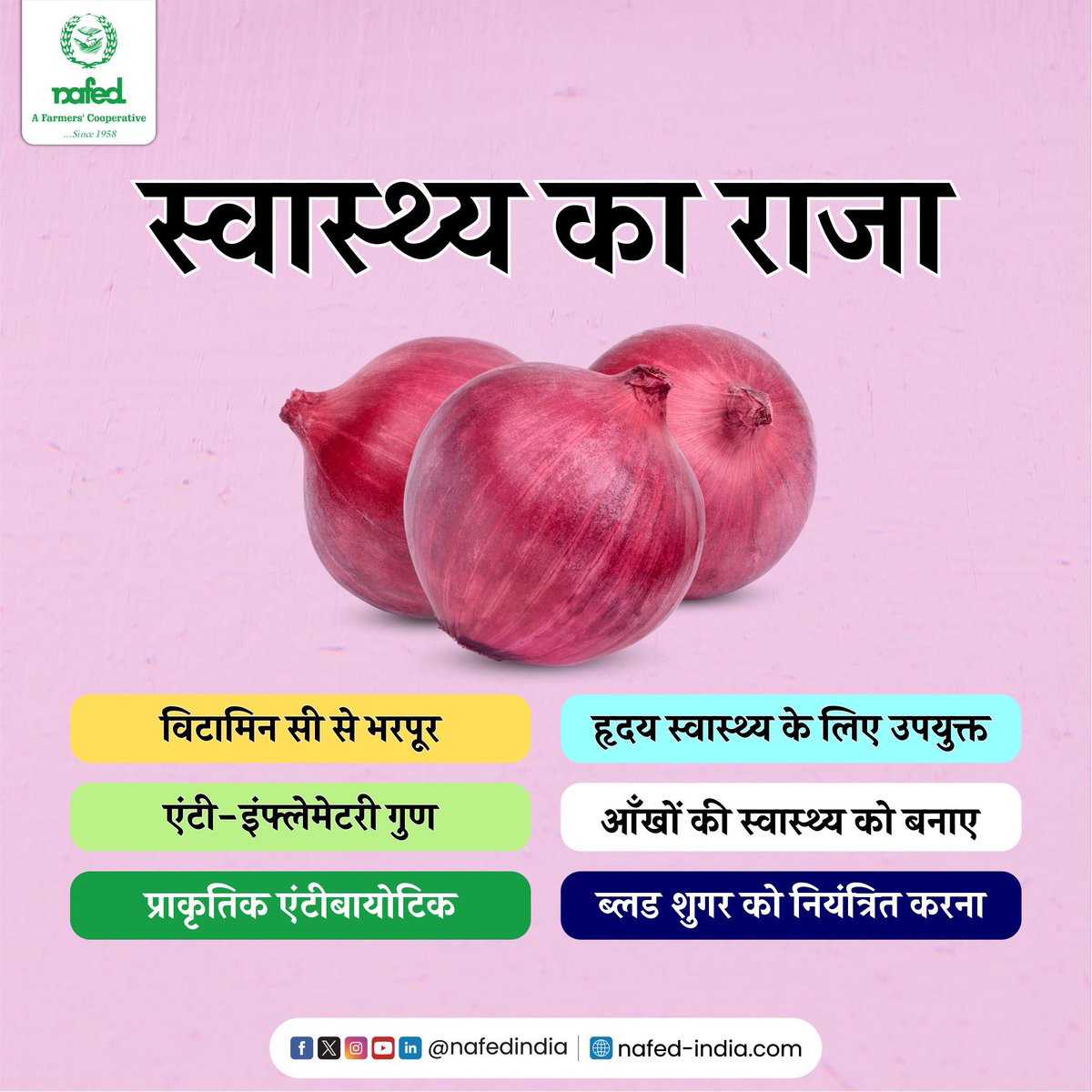 nafedindia's tweet photo. प्याज हर खाने का जायका दोगुना कर देता है,आपकी प्लेट में प्याज न हो तो खाना अधूरा सा लगता है। इसमें अधिक मात्रा में विटामिन सी, विटामिन बी2 और थियामाईन पाया जाता है। इसे खाने से कई गंभीर समस्या से निजात मिल जाती है।
#NAFEDOnions #OnionSupply #NAFEDQuality
#OnionDistribution #FreshProduce
#FarmersMarket #OnionTrade
#NAFEDAgri #OnionHarvest