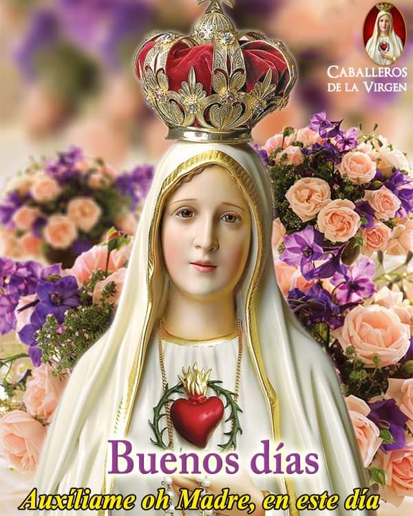 RuizHurtadoRE's tweet photo. ¡Buenos Días!
#NoPermitas que las pruebas cotidianas de mi vida, me hagan olvidar de tu gran amor y cariño. https://t.co/pZGwc2236A