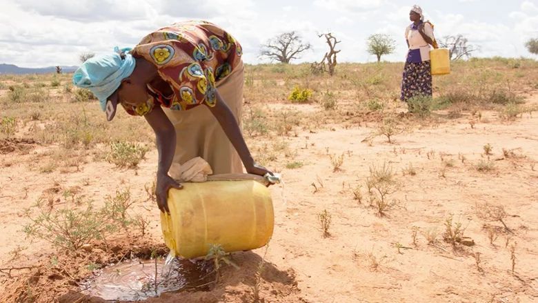 UN_Water's tweet photo. Climate shocks: Estimates of people exposed, vulnerable, and at high risk

More than half the global population – around 4.5 billion people – are at high risk of experiencing an extreme weather event, such as a flood, drought, cyclone, or heatwave.
➡️ https://t.co/f0S7sxoxWn https://t.co/Ppsh5iKDq3