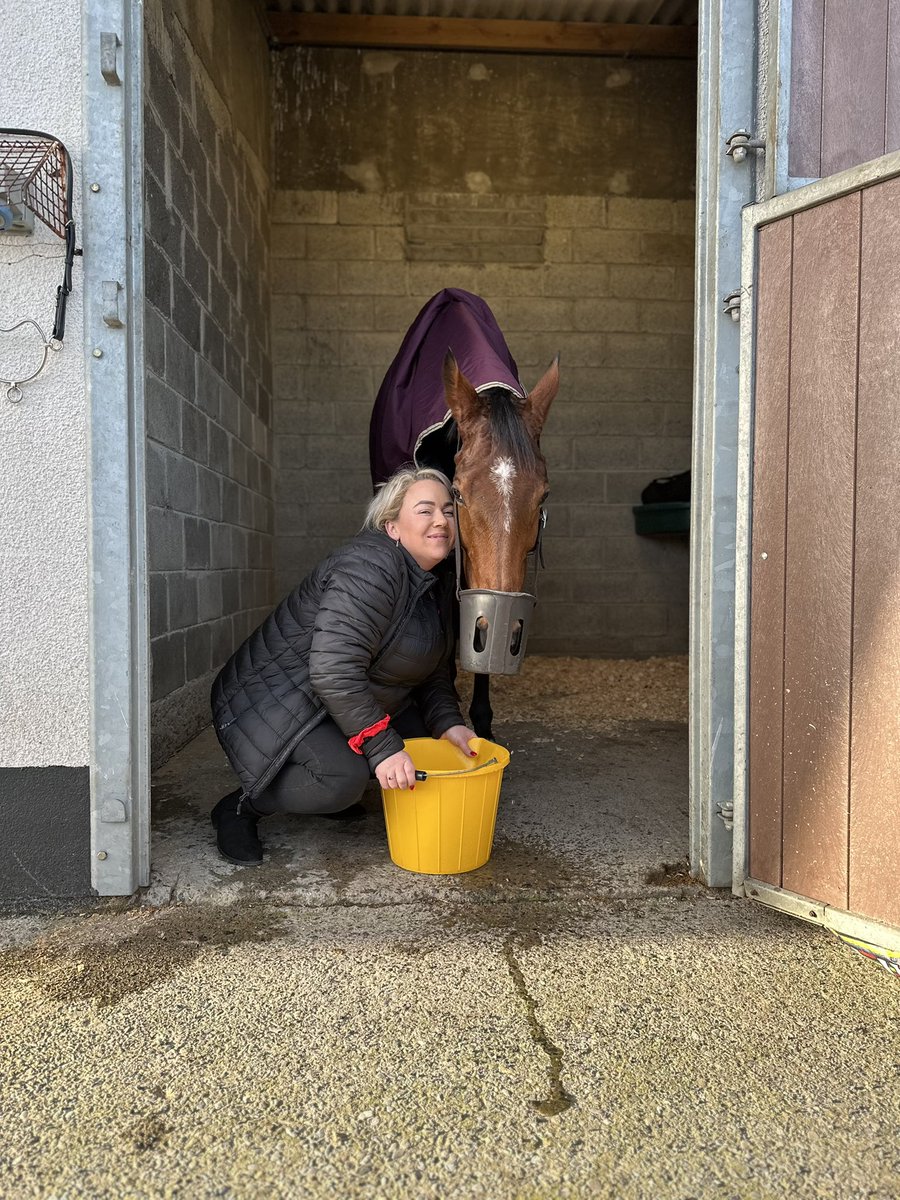 Hope my prince #homebythelee comes home safe today 🙏 <a href="/LeopardstownRC/">Leopardstown RC</a>