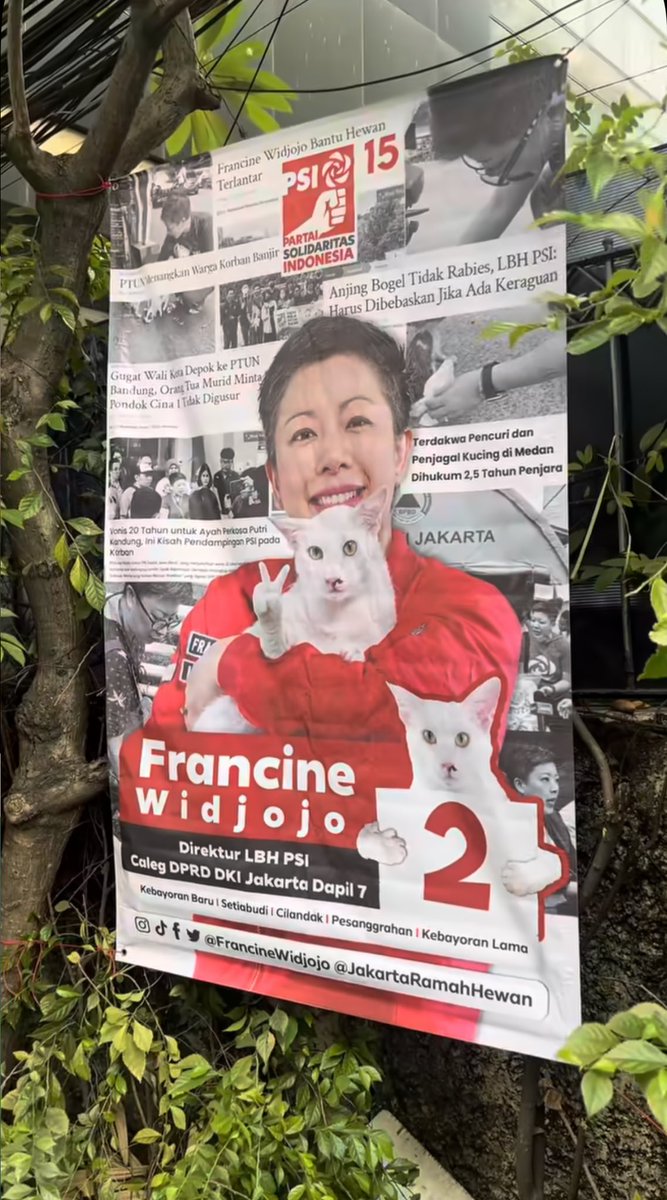 ankerleci's tweet photo. Gueh bukan buzzer tp Gue harap ibu ini menang di dapilnya krn dia ngangkat isu yg jarang bgt diangkat sm orang orang padahal banyak case yg mayan concerning ((kayak penganiayaan hewan)) 🥹 https://t.co/8Y2x9yj3pI