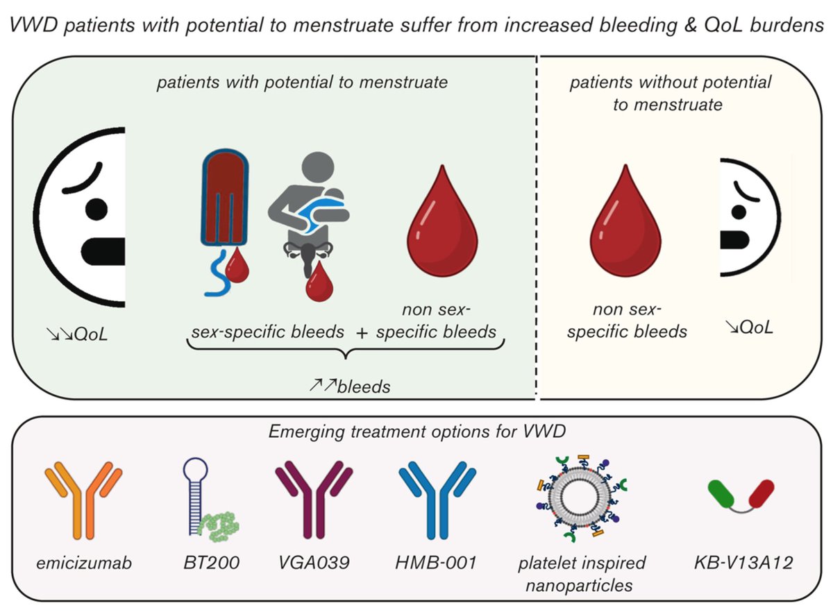 ProfMakris's tweet photo. After decades when all innovation in the field of inherited bleeding disorders concentrated on #hemophilia, it is great to see the range of therapies being developed for persons with von Willebrand disease (#VWD). The PDF is free. https://t.co/fz1O6GCJ2A https://t.co/rlvg7j7OrE