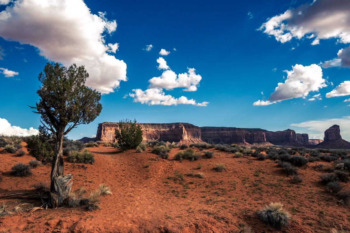 rosstintexas's tweet photo. Hello Hello!!

Happy to say I’ve added a new series to @exchgART 

Desert Days

https://t.co/DrtRMpF7DC

More⬇️ https://t.co/Vrt7L25iK7