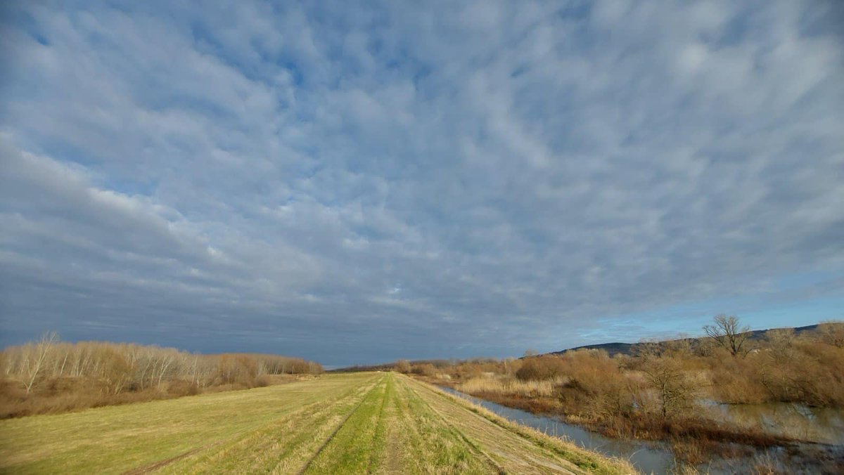 albicilla66's tweet photo. #GoBirding #baraReva-Čapljin in #Belgrade, from the Reva Pond to the 6km of levee overlooking the backwaters. #WhiteTailedEagle, Roe deer &amp;Eurasian otter are often seen in this area, sometimes wild boar. No levee driving is allowed, only walking &amp;cycling
➡️https://t.co/lmc9rOzQyk https://t.co/CTZ5kIfbhl