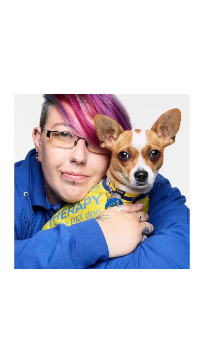 Please give what you can to our 'Dogs with Jobs' campaign this Christmas. Any donations made online will help fund dog health and welfare projects,including the training of service dogs like Tilly who have a lifechanging impact on the humans they support. kennelclubcharitabletrust.org