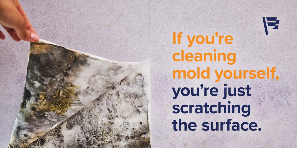Cleaning mold and remediating mold are two different things. If you’re doing mold cleanup yourself, there’s a good chance you’re neglecting what's forming in the areas you can’t see. Connect with us today. bit.ly/3GBpP4l
