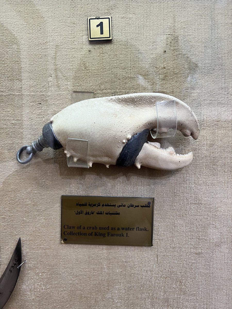 yousef hilmy tweet media