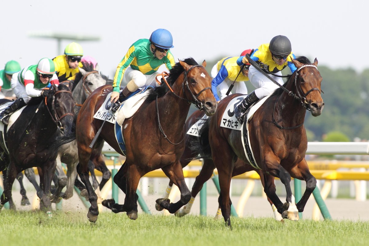 JRAVAN_info's tweet image. 今日1月28日は2016年のダービー馬 #マカヒキ のバースデー！サトノダイヤモンドとの叩き合いは今でも記憶に新しいですね。
9歳まで現役を続け一昨年の8月に引退。現在は北海道新ひだか町のレックススタッドで繋養されています。