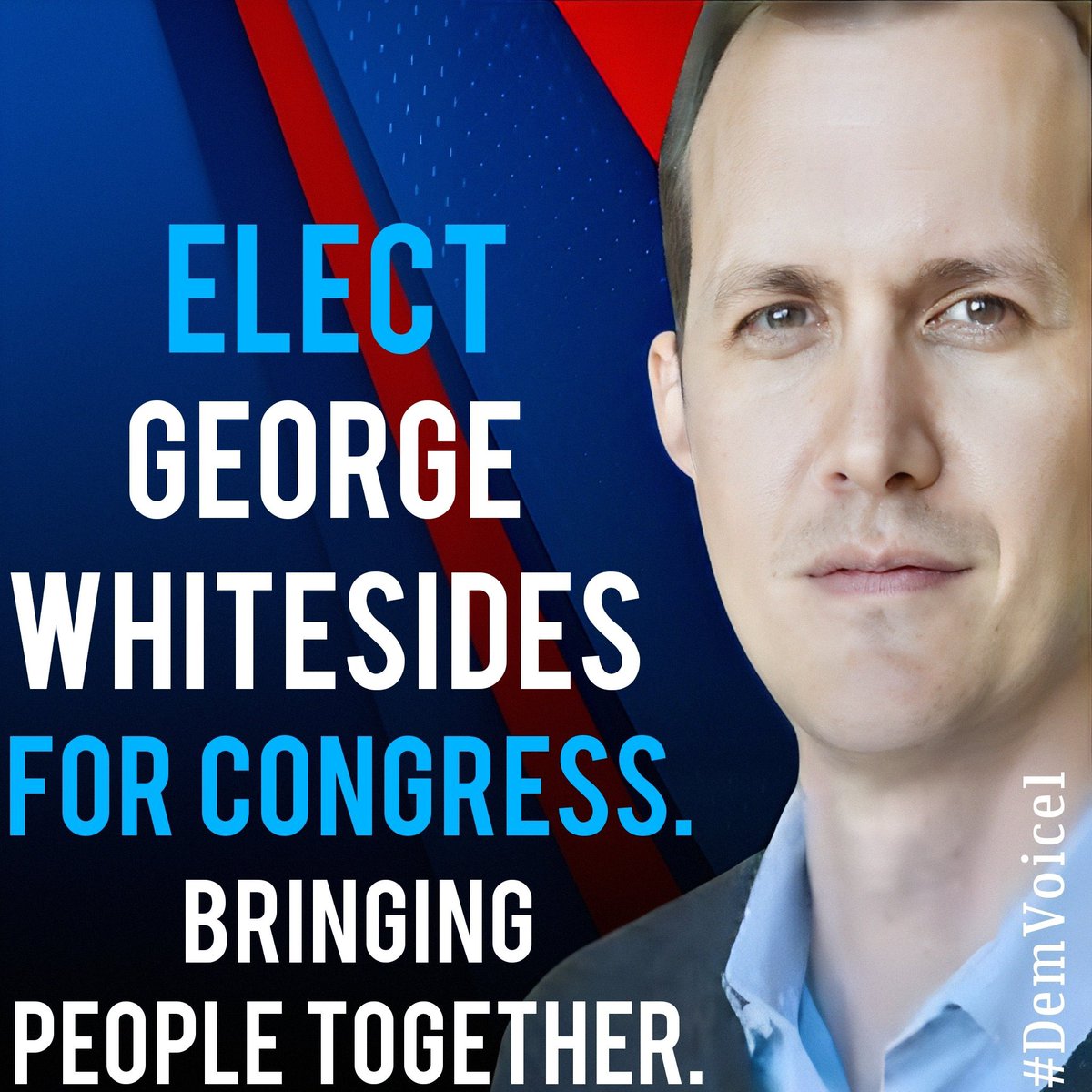 DemVoice1 Candidate Graphics tweet media