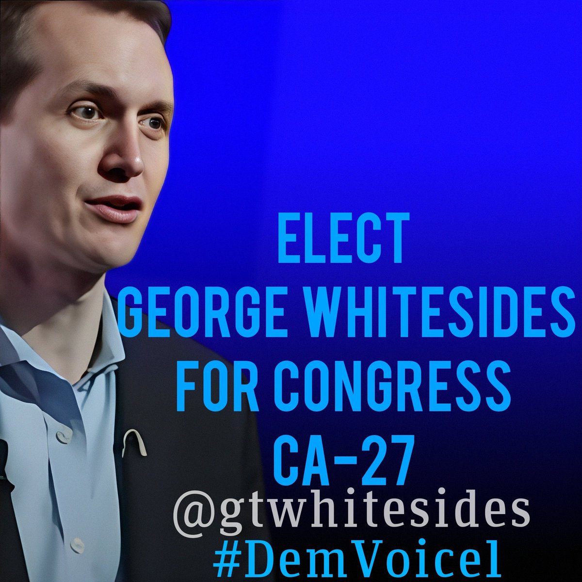 DemVoice1 Candidate Graphics tweet media