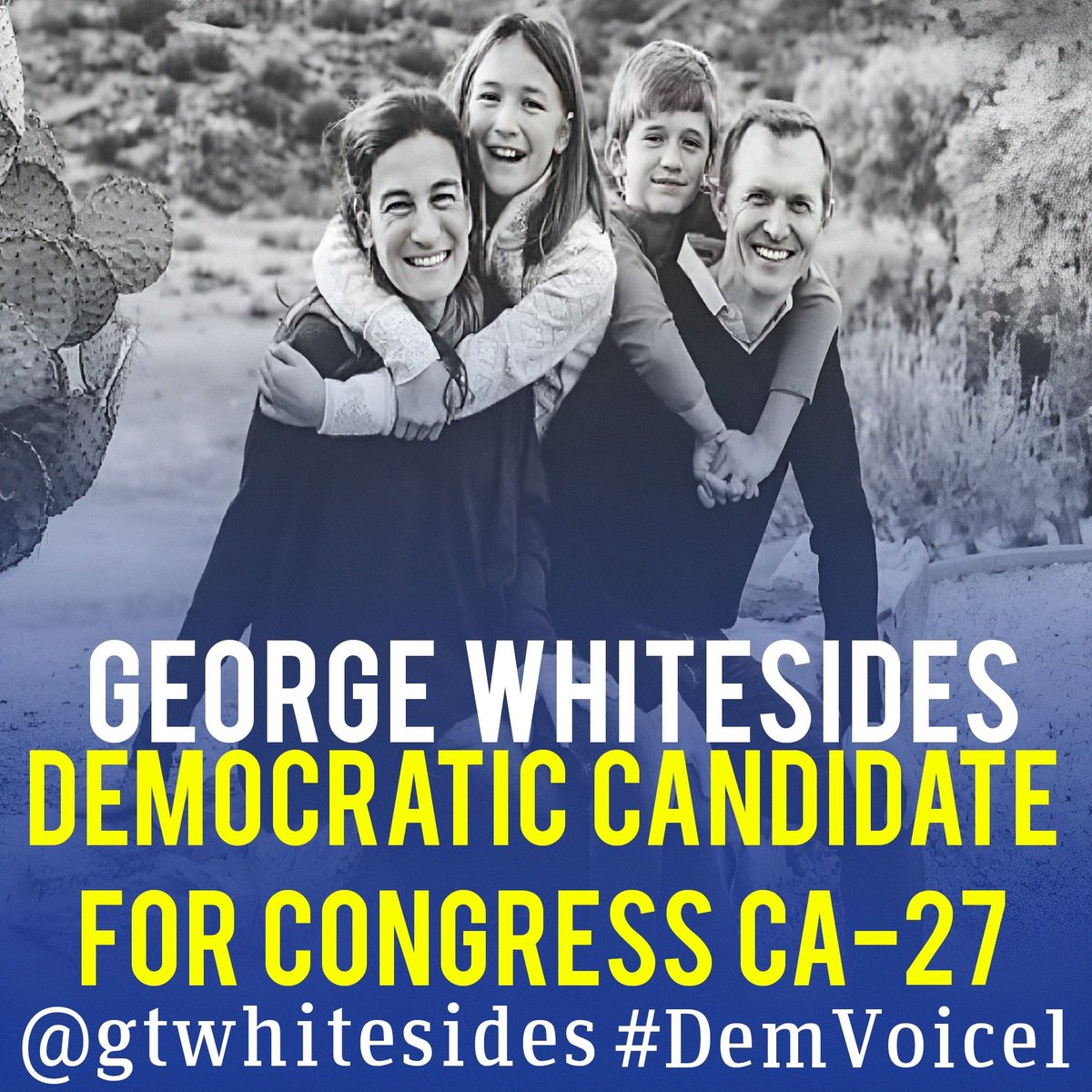 DemVoice1 Candidate Graphics tweet media