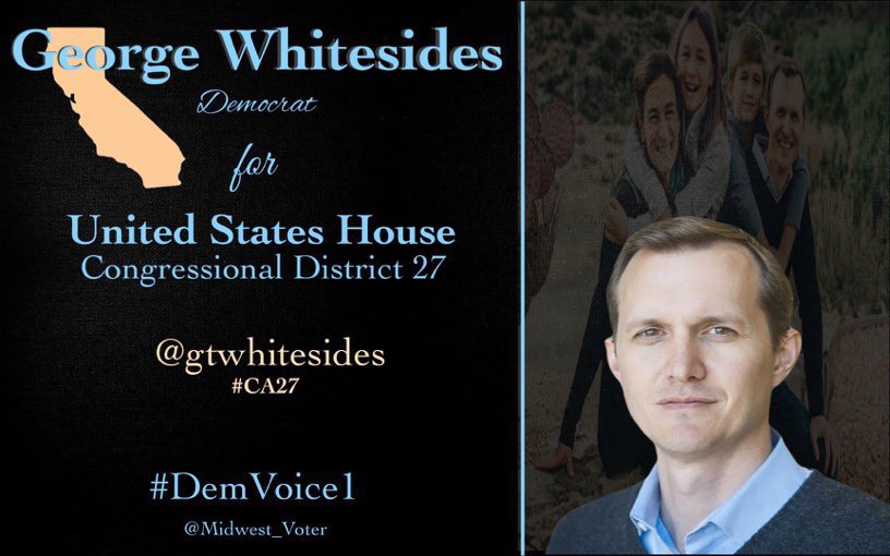 DemVoice1 Candidate Graphics tweet media