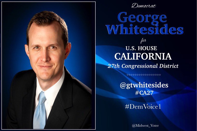 DemVoice1 Candidate Graphics tweet media