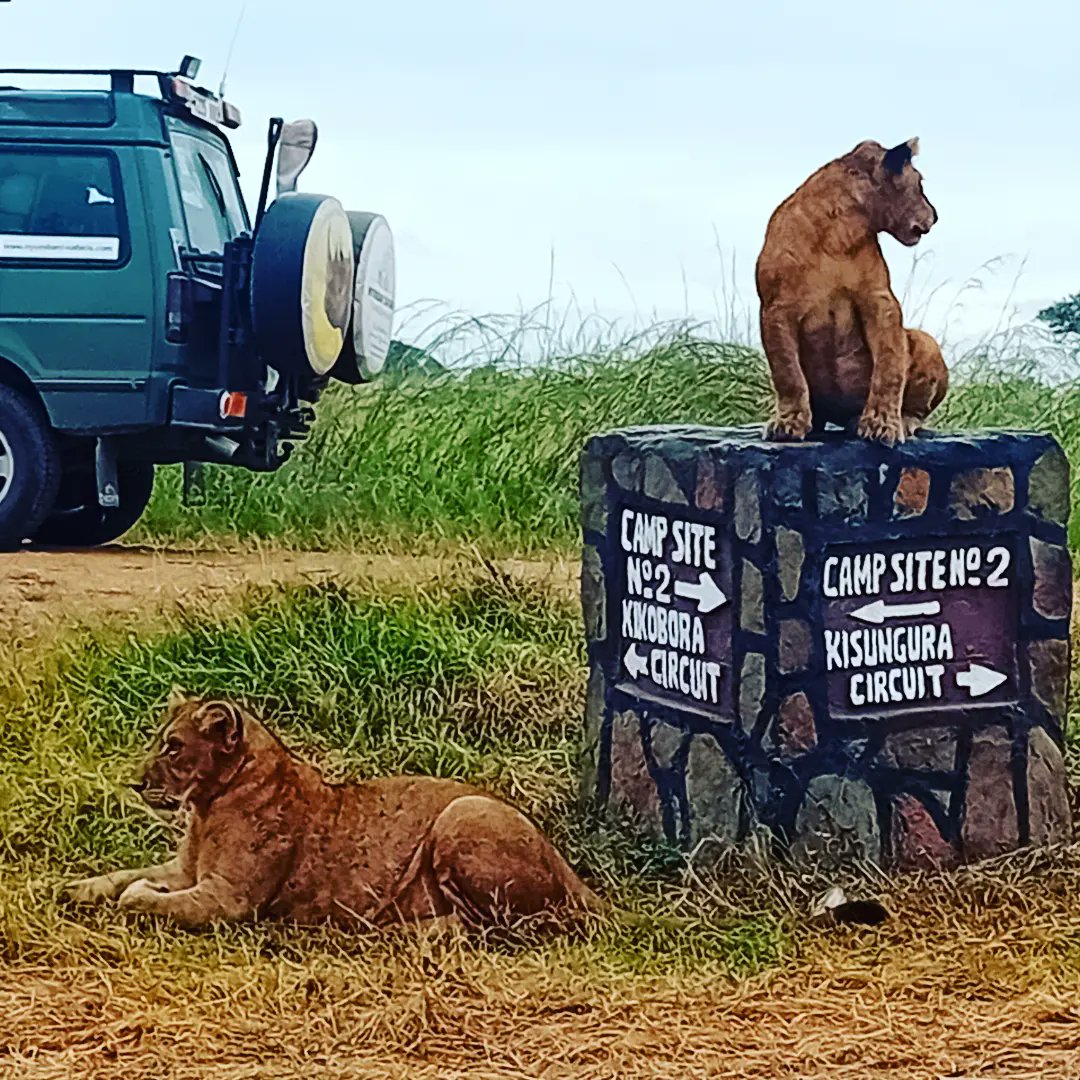 EXPERIENCE ZANZIBAR TOURS AND SAFARIS (@ezanzibar) on Twitter photo 