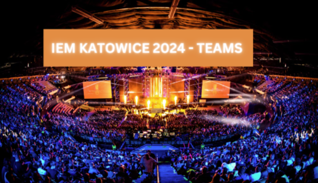 fernanda tweet media