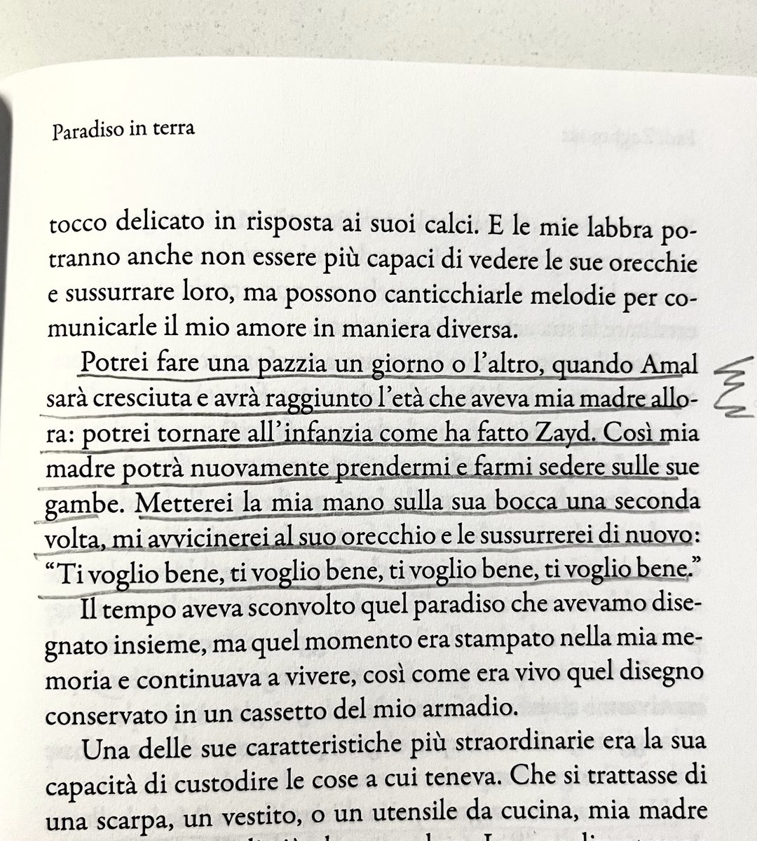 A.G. Chizzoniti tweet media