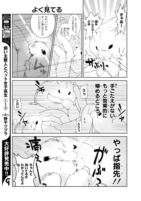 【ジーンピクシブ本日更新!!】
はむはむづくし 第19話②
https://t.co/LGcjBkNNm6

ハムちゃんのガジガジは、指でもスリッパでもとっても的確!
本当によく見てるメガ～😳
(メガにゃん) 