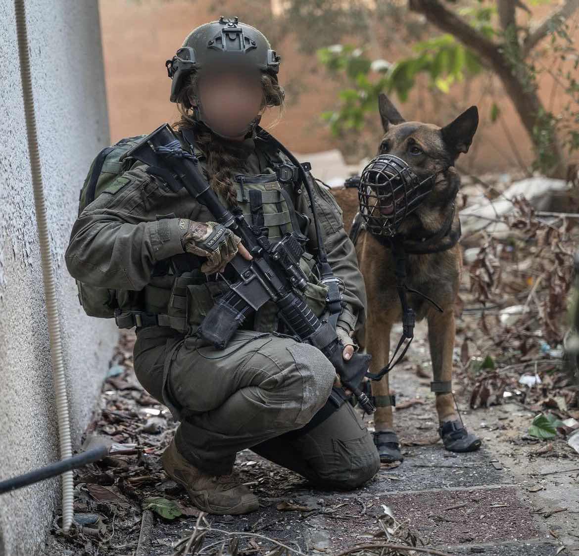 _ZonaTactica_'s tweet photo. 🇮🇱Operadora de K9 israelí durante la actual operación en Gaza.

Principalmente, han sido utilizados como ataque y reconocimiento (suelen llevar incorporados una cámara) en los famosos túneles de Gaza. https://t.co/6rIOq3YTAB