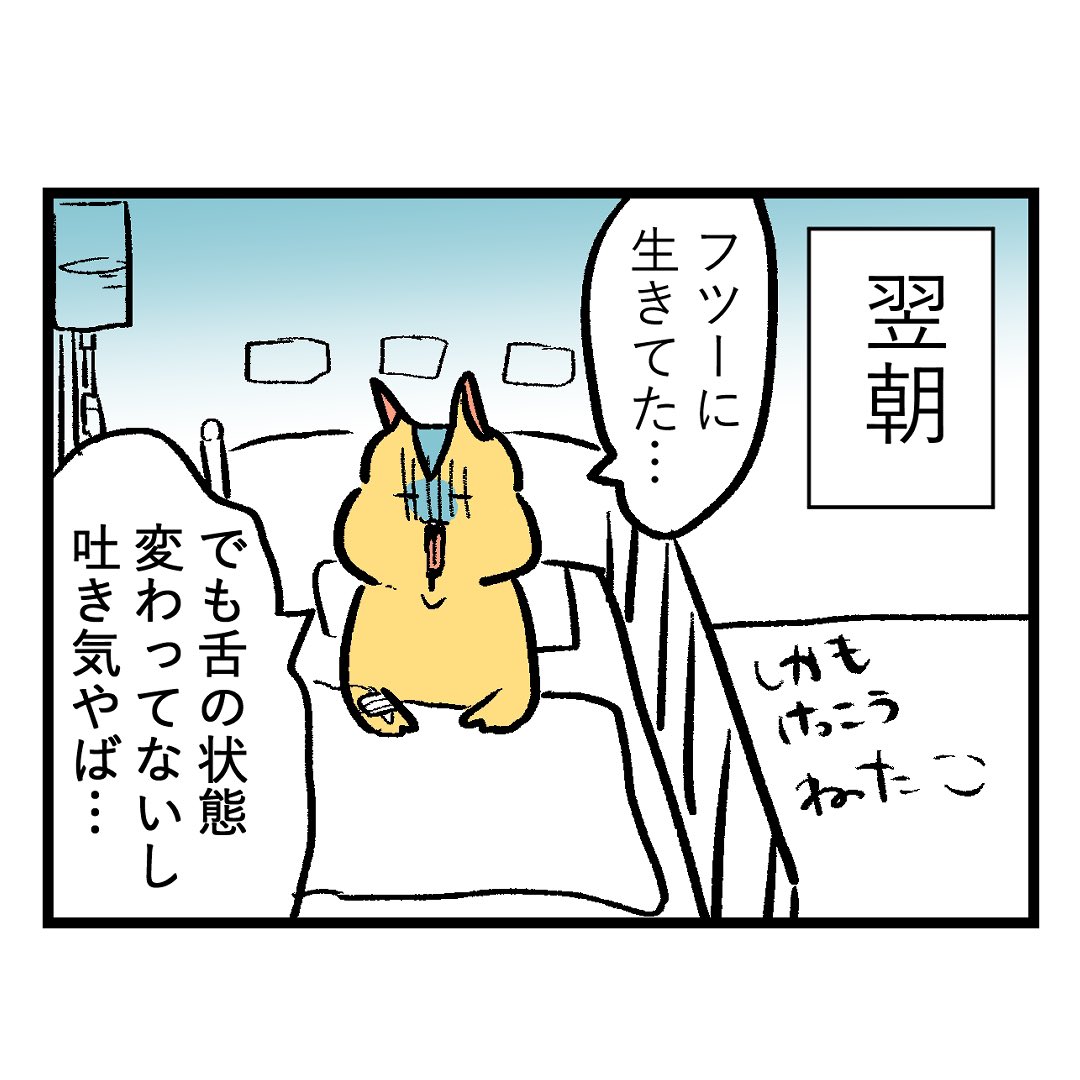 七色のGERO吐けますか?激烈つわり入院編【第23話】 基本的につわり中は寝たらもう目覚めたくない。 #漫画が読めるハッシュタグ #もしゃ悪阻日記