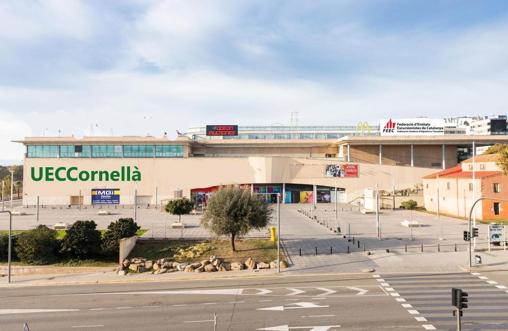 Ueccornella tweet media