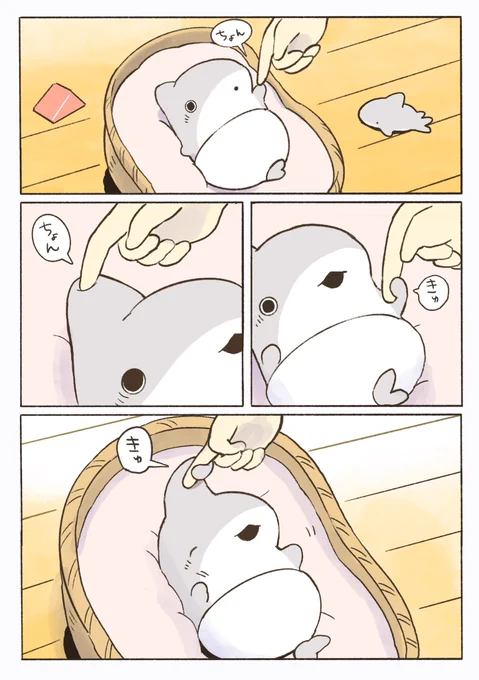 ベビー子ザメ にぎりかえし