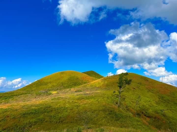 mizoraminsta's tweet photo. Pehlawn tlang, Mizoram
.
.
Pic credit ๐ท @zo_artui
.
.
.
#pehlawn #pehlawntlang #tlang #hill #mountain #mizoram #mizoraminsta #northeastIndia #camp #camping #tent #grass https://t.co/FQ2HXPLmr9