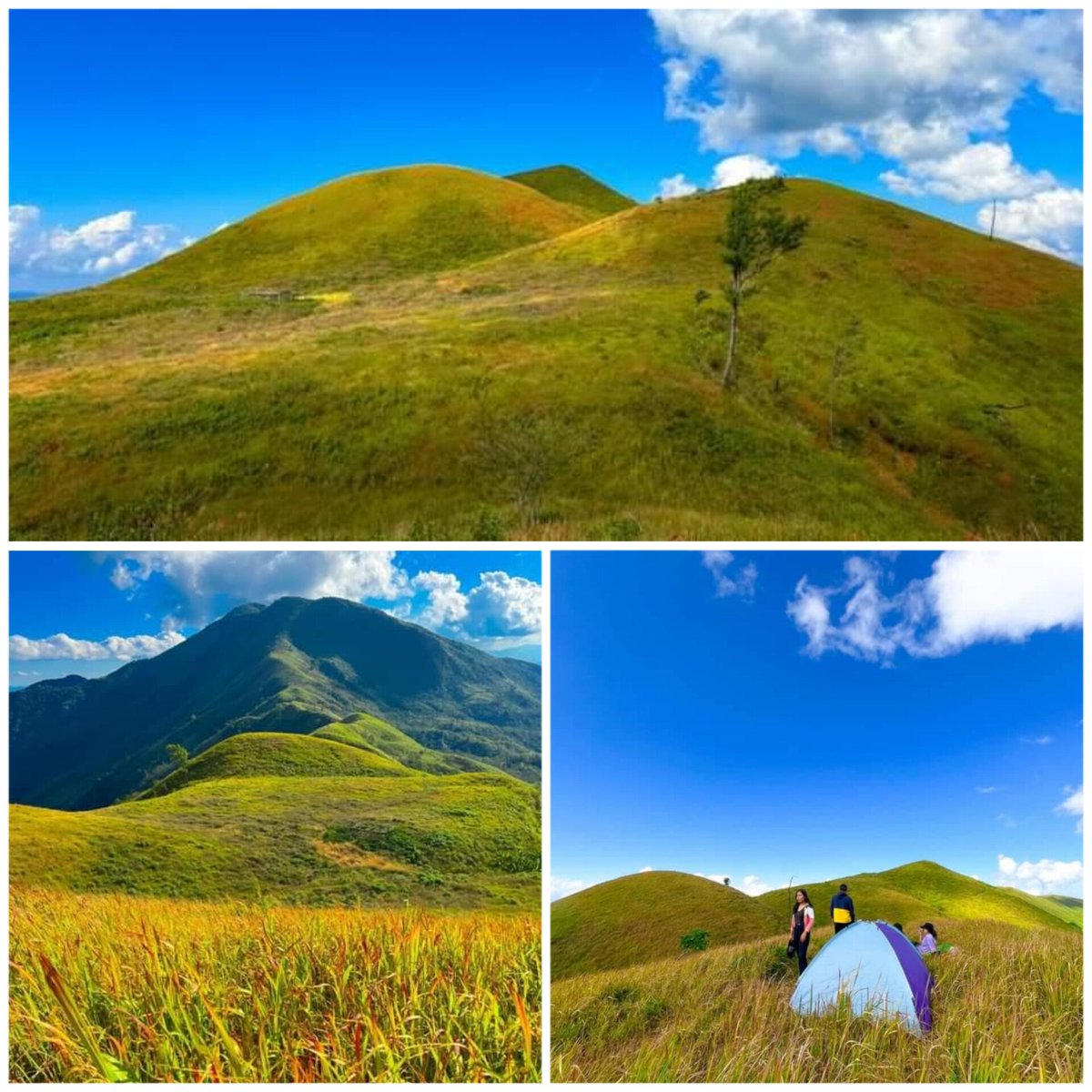 mizoraminsta's tweet photo. Pehlawn tlang, Mizoram
.
.
Pic credit ๐ท @zo_artui
.
.
.
#pehlawn #pehlawntlang #tlang #hill #mountain #mizoram #mizoraminsta #northeastIndia #camp #camping #tent #grass https://t.co/FQ2HXPLmr9