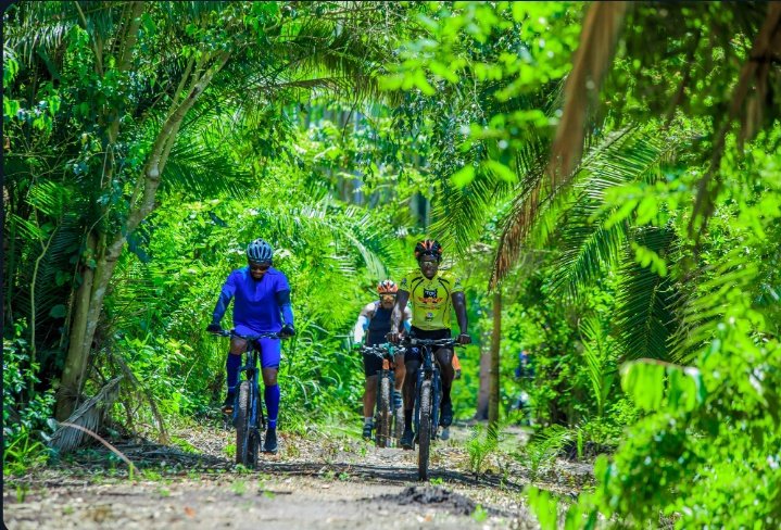 KulzApia's tweet photo. The Great Outdoors is the eco-friendly forest resort, located only 45 min (35km) drive from Kampala, is a place people come to for a unique retreat experience, unforgettable weekends, relaxation, corporate retreats &amp; reconnecting with family.
#ExploreUganda
#VisitUganda
#UgIsHome https://t.co/okcXdbX8xl