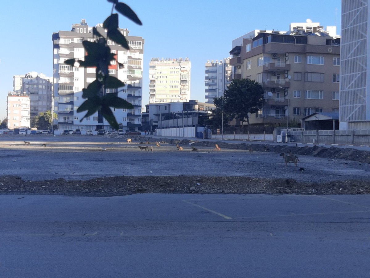 ege0735's tweet photo. Hemen hemen gün bizleri evlerimizde işe,okula giderken  tedirginlik ile etrafımızı kontrol ederek çıkmamıza sebep olan değerli yerel yöneticiler bugün de değişen bir şey yok
Acaba değişmesi gereken sizce ne?
@MuratpasaBld @ANTALYABB @Av_umituysal @herkesicinCHP @eczozgurozel https://t.co/sFWVIRAbSa