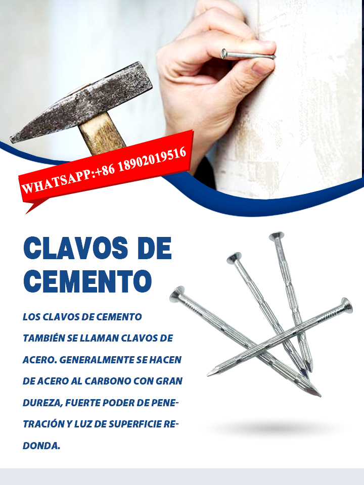 LituoFastener's tweet photo. "¡Asegure sus proyectos con precisión! Presentamos los clavos para concreto de Lituo. 💪🔨 Diseñados para brindar durabilidad y un fuerte agarre en concreto y mampostería. ¡Actualice su kit de herramientas ahora! 
Web: https://t.co/q9jlU1MQXl
WhatsApp: +86 18902019516 https://t.co/WYzAI6wiFt