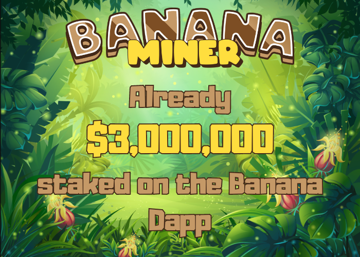 NFT Doctor tweet media