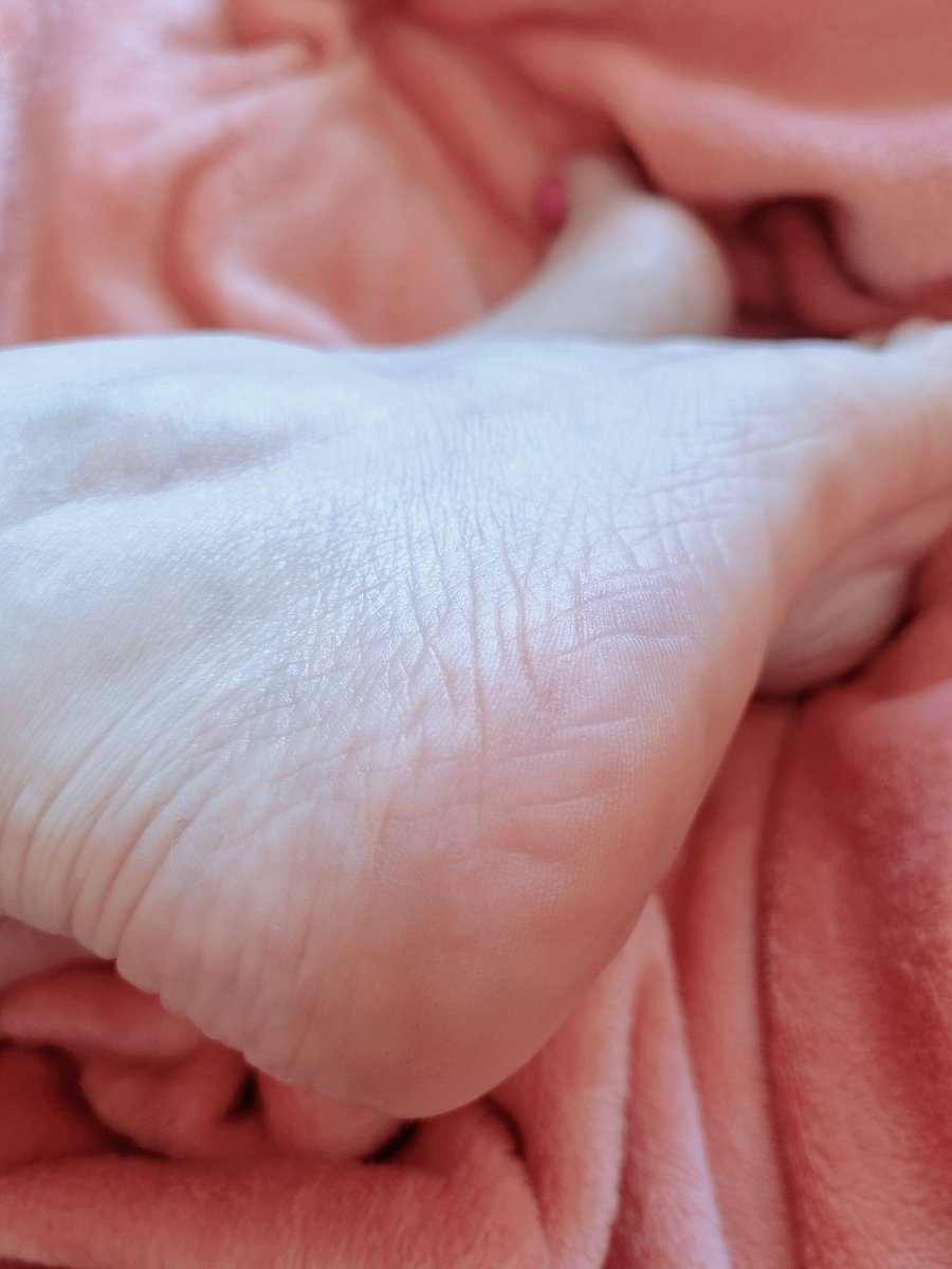 Uşakta böyle güzel aykları olup yalatmk isteyenler lütfen dm ye saatlerce yalayıp masaj yapmak istiyorum 
#usak   #uşak #fetis #ayakfetiş #ayakkölesi  #ayakfetişi #bsdm #evlikadın  #evliçift  #evli