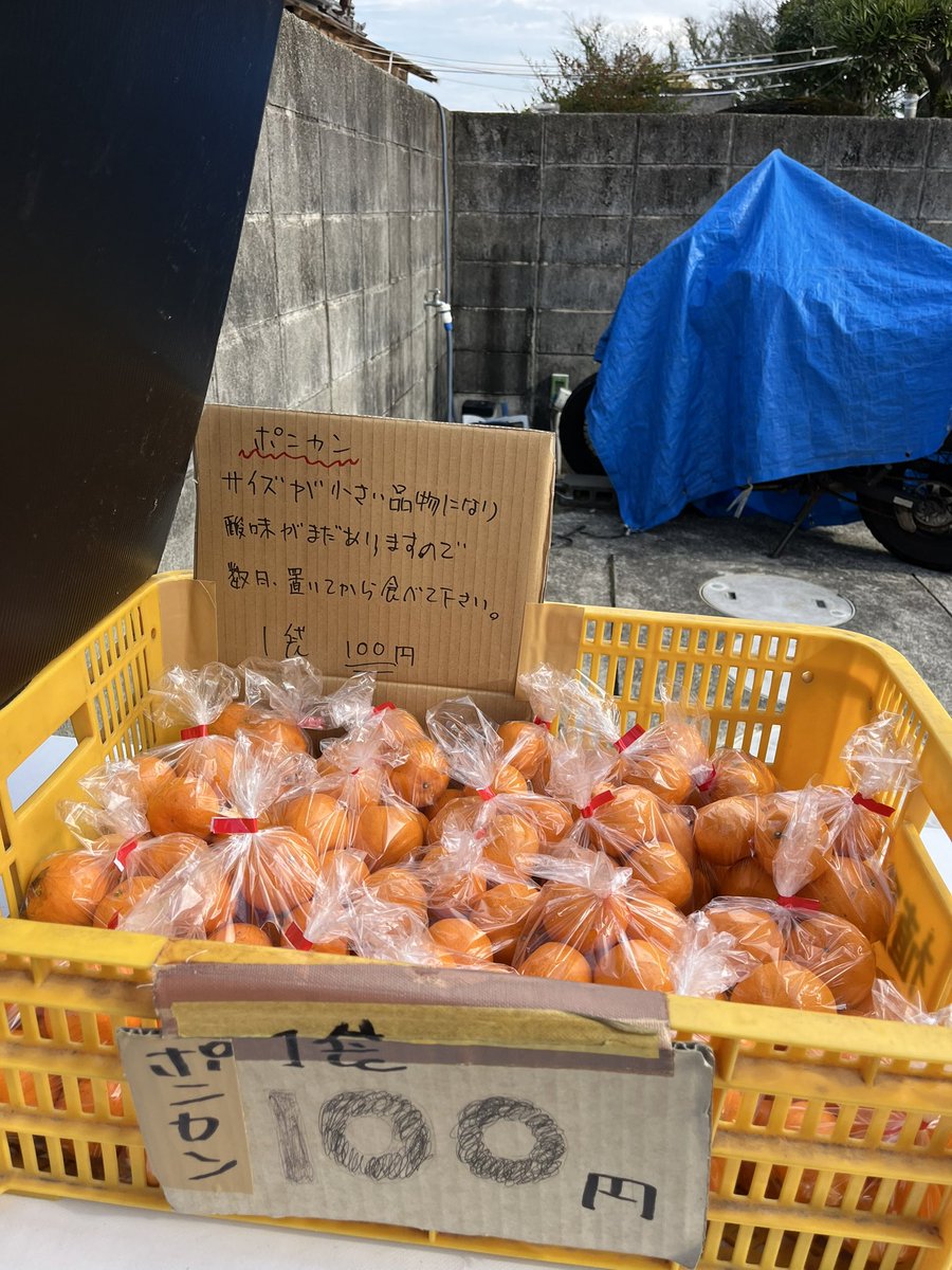 taromar_u's tweet photo. 民家の駐車場みたいな所でポンカンの袋詰めが100円で無人販売されていた。九州の人にとっては何でもないことだろうけど、北国の人間にとってはため息が出るような風景。 https://t.co/21RNlPWktS
