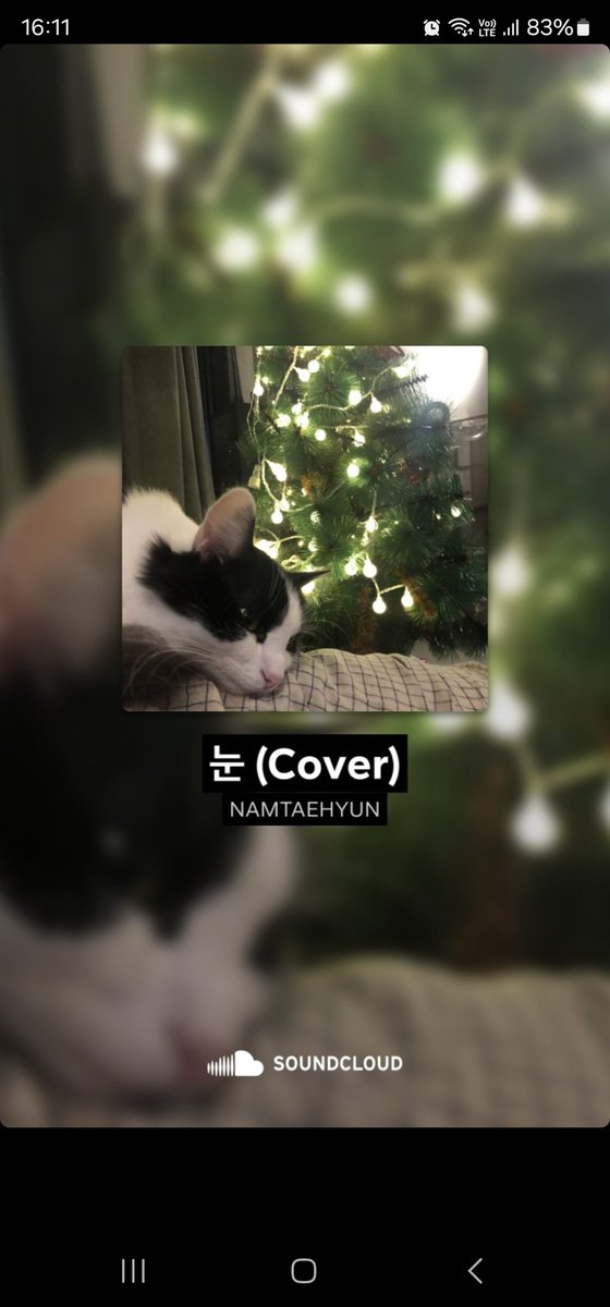 IG  ❤️ <a href="/South_Club_Real/">남태현</a> 

🎄🐈‍⬛on.soundcloud.com/BRdWE

#NamTaehyun #นัมแทฮยอน #남태현