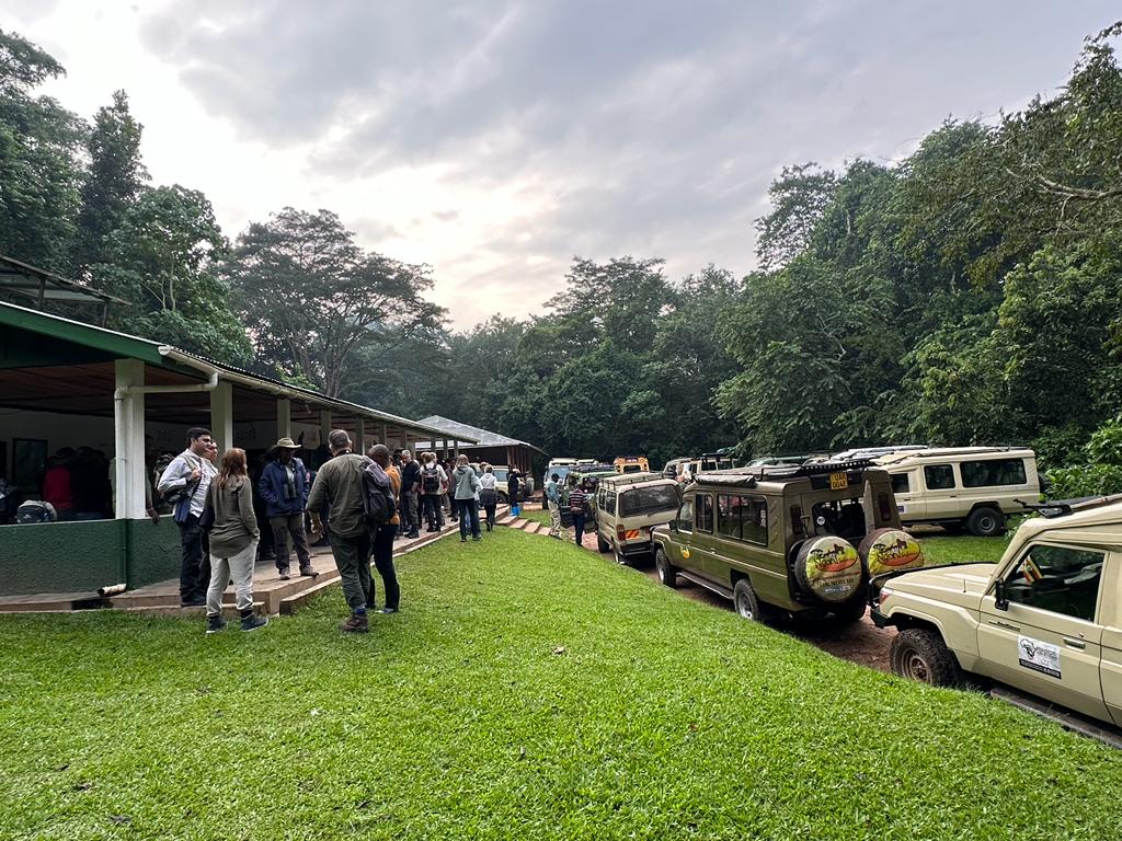 Wildgallerysaf's tweet photo. Where are you spending your holidays if not #Uganda 🇺🇬...#Chimpanzeetracking in the #PrimateCapitaloftheWorld, #KibaleForestNP is an experience not to miss. #ExploreUganda #DestinationUganda
Book your trip now: https://t.co/Dv7rAOAW1T
info@wildgallerysafaris.com
📸 Courtesy https://t.co/Nh9ktxHPTk