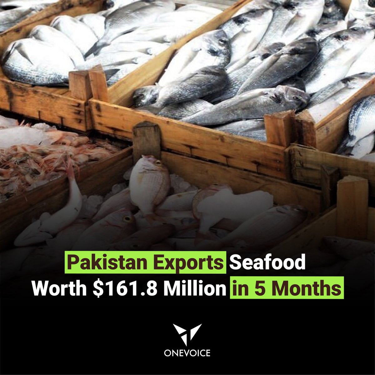 1Voicepk's tweet photo. Pakistan earned $161.896 million by exporting 72,515 metric tonnes of fish and fish preparations during the first five months of the current fiscal year, Pakistan Bureau of Statistics (PBS) reported.

#news #pakistan #seafood #exports #increased https://t.co/ghlk9LAKT9