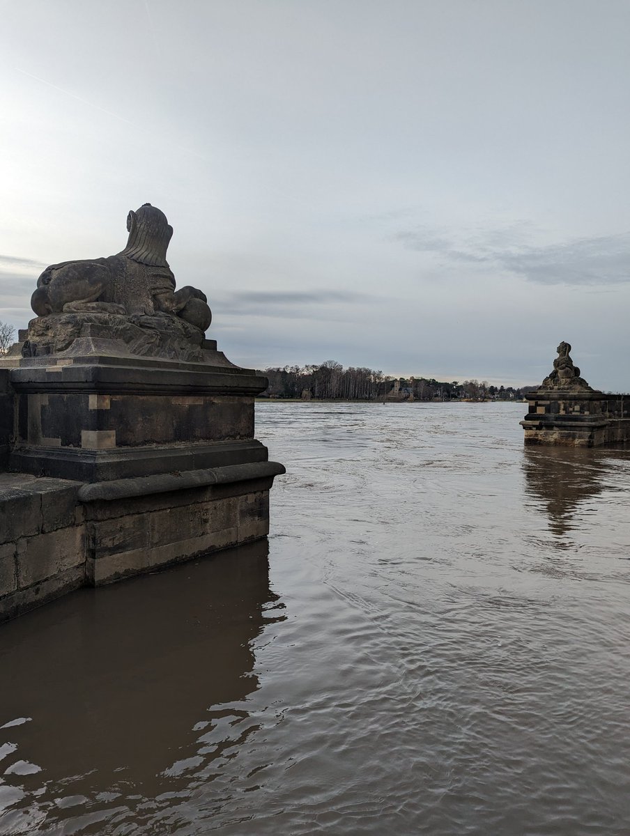 elbhang's tweet photo. Elbe-Hochwasser #Pillnitz https://t.co/ihSKniIkFm