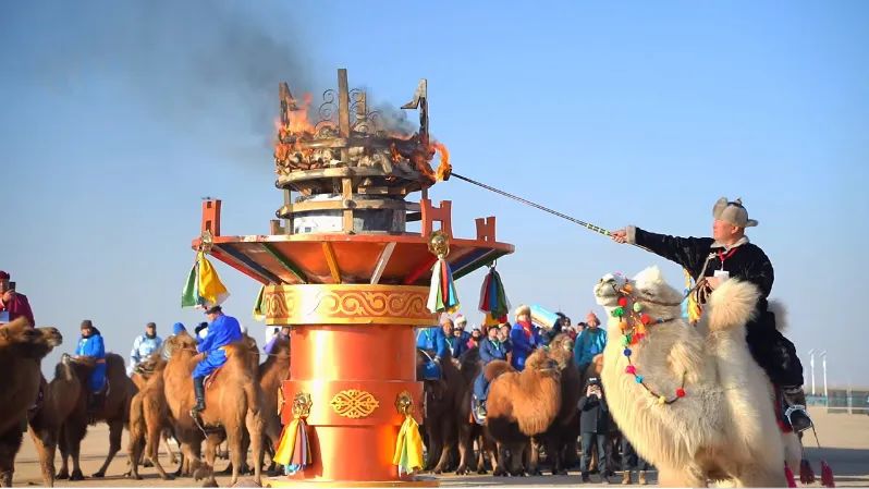 AmazingAlshaa's tweet photo. Hold on to your humps! A grand camel nadam festival kicked off today in #Alshaa Right Banner, the Hometown of Chinese Camel Milk. This 2-day extravaganza is jam-packed with exciting events, like a Guinness World Record attempt for the largest camel riding class. #AlshaaUpdates https://t.co/tQL47pXECm