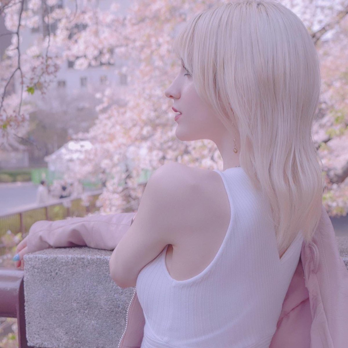 AiRyAOfficial's tweet photo. お気に入りのワンんショット。🌸
2024の桜早く見たいね😌 https://t.co/ng8keL0TN5
