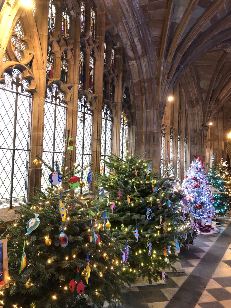 Ruth Till tweet media