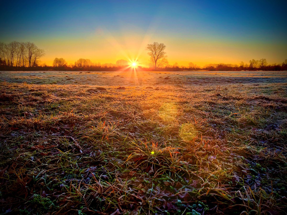 dernixweiss's tweet photo. pure life………..

#sunrise 
#newday 
#Bayern 
#today
#love
#photograghy
#Folllow
#picoftheday https://t.co/qfbjgIaKBi