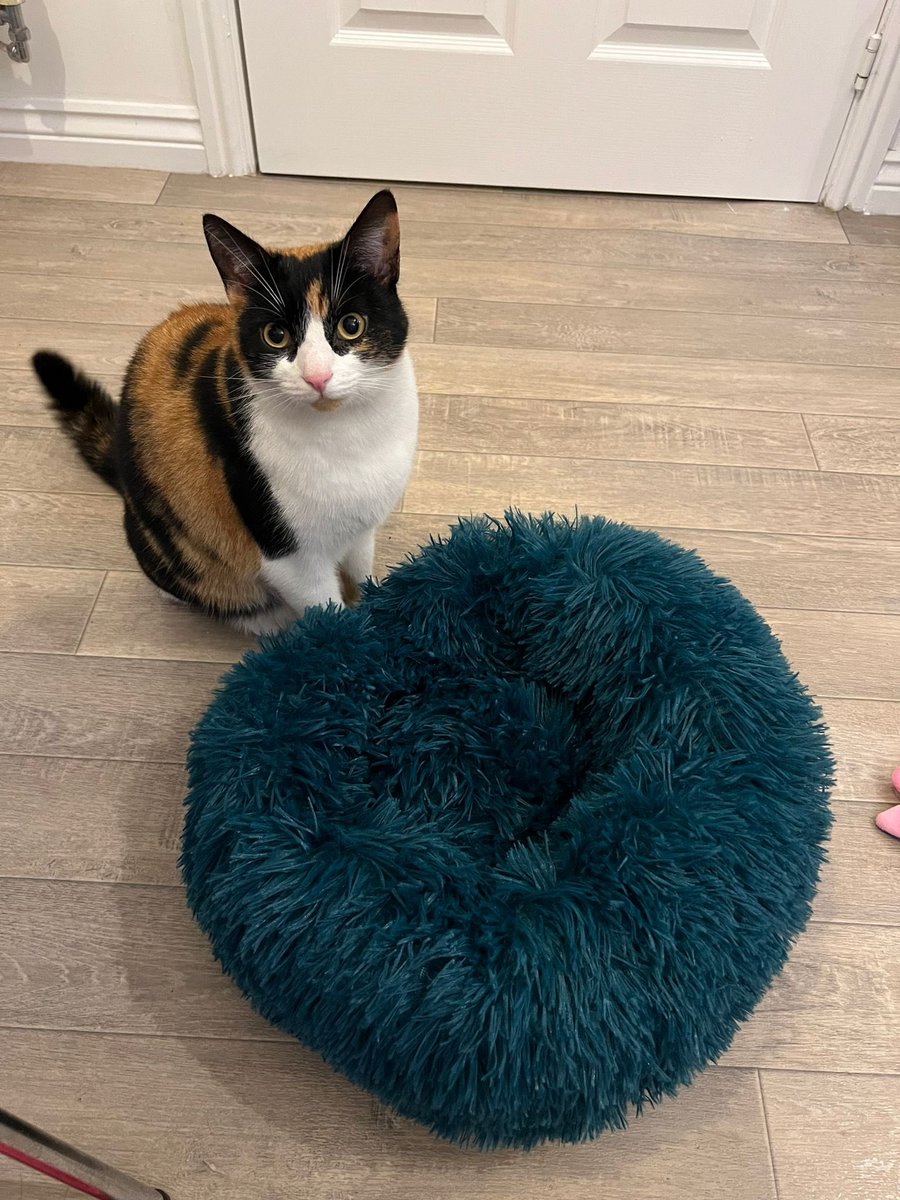 Russell Fryer tweet media