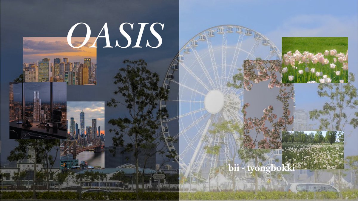 bii | oasis au📍 tweet media
