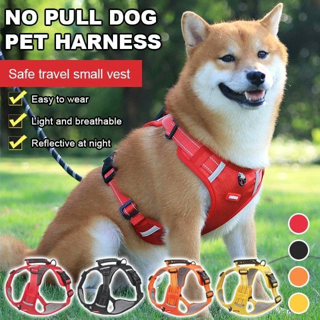 fitdeckShop's tweet photo. Breathable And Explosion-proof Pet Harness
👉Get yours 👉https://t.co/Mm9C8TwGzN https://t.co/5P7ejBJoXo