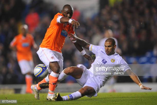 BFC_ExPlayers's tweet image. Happy 43rd Birthday today to former Pool striker ... Lomana Tresor Lua Lua @LuaLuaOfficiale
Hope you have a great day Lomana !
👍😀🎂⚽️🥅🍊🇨🇩