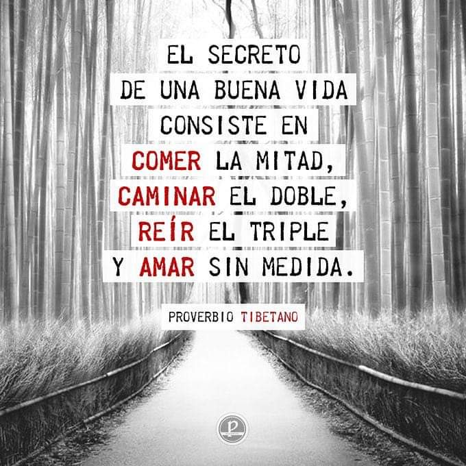 VidaEquilibrad4's tweet photo. https://t.co/xPczMawijk