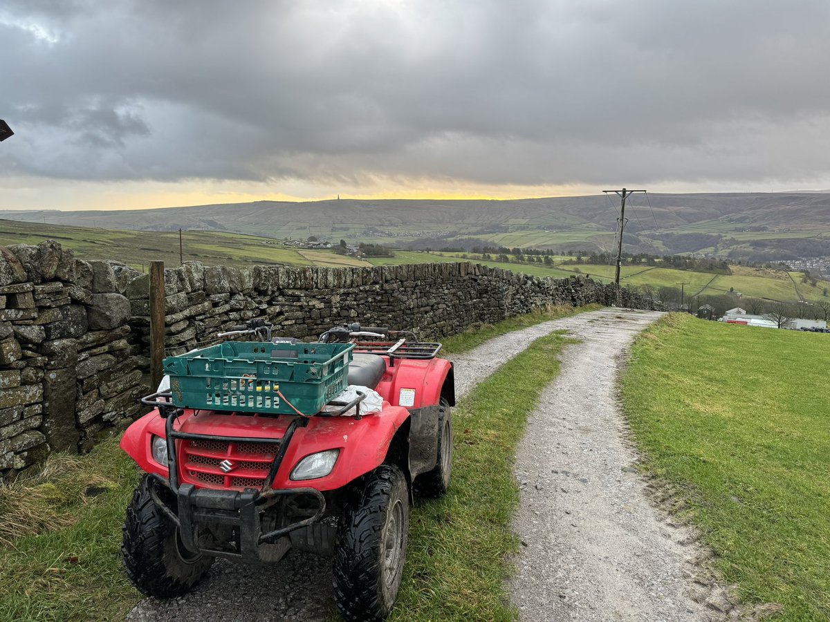 PeterGittins1's tweet photo. Bringing the sheep home https://t.co/WF9C5ExLq9
